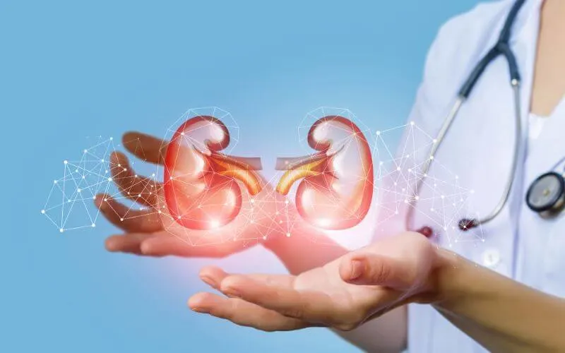 kidney-stone-removal-services-provide-by-dr-aditya-sengar